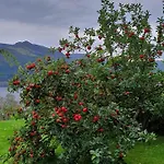 아파트 Sandeidfjorden Sandeid