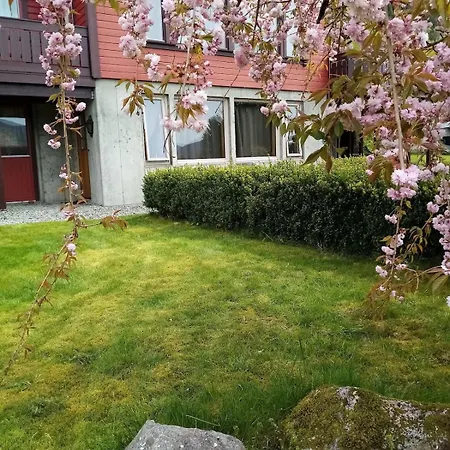 Sandeidfjorden * Sandeid