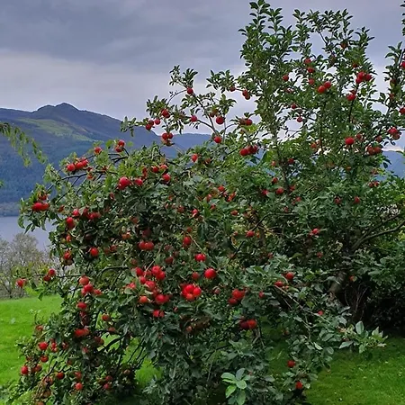 Apartamento Sandeidfjorden Sandeid